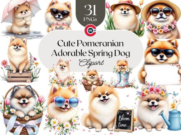 Download Cute Pomeranian Dog, Adorable Animal PNG - Animal Collection